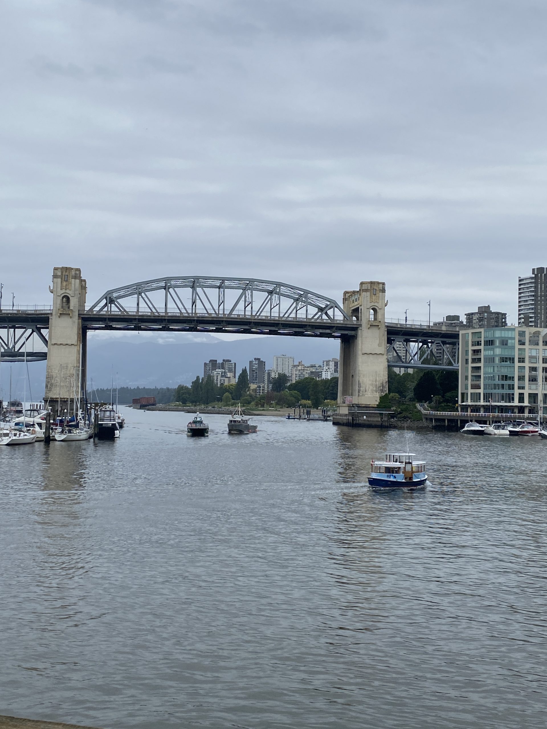view from granville island