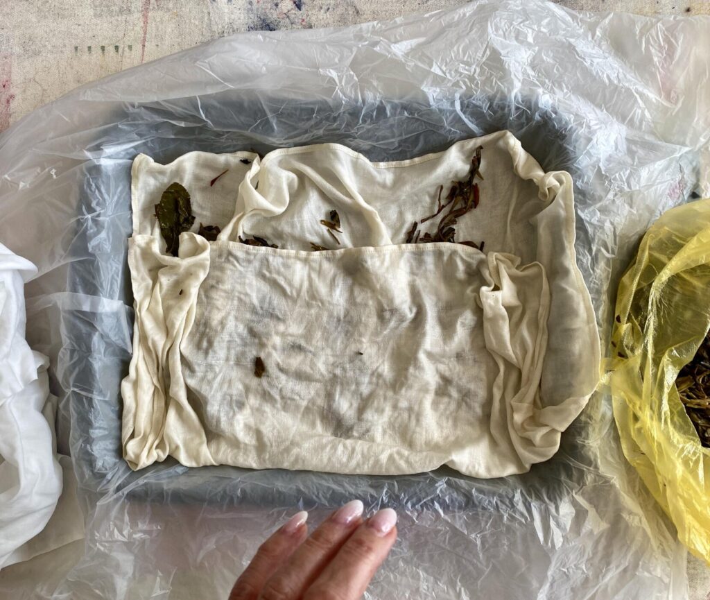 an image showing a tray with a layer of plastic and then a piece of fabric with tea leaves on it to dye